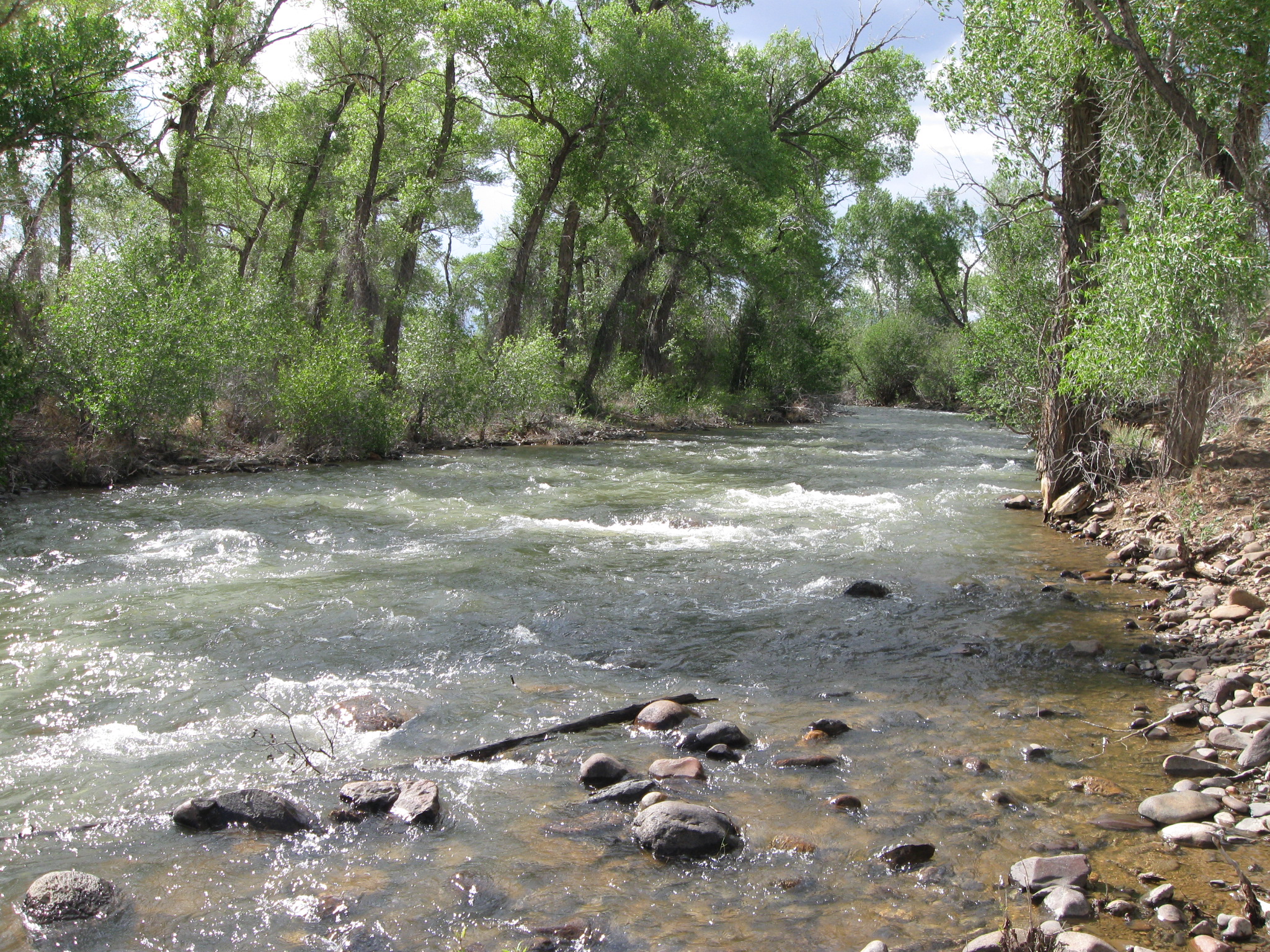 Alamosa River Estates Vacant Lots Trout Fishing